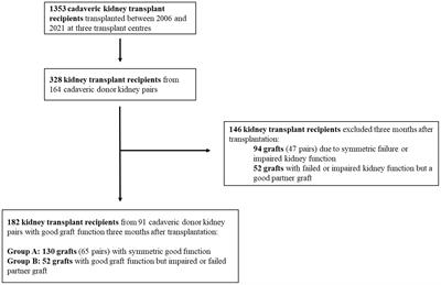 Impact of deceased-donor characteristics on early graft function: outcome of kidney donor pairs accepted for transplantation